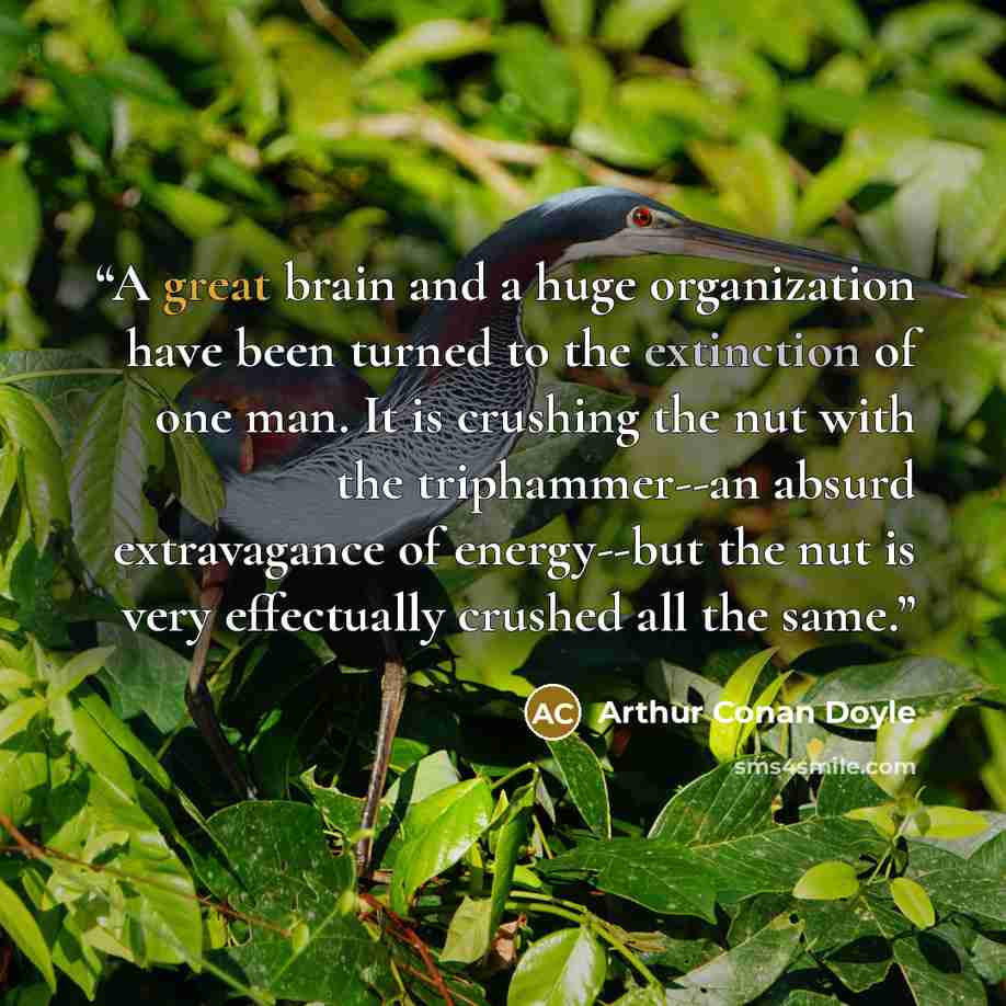 “A great brain and a huge organization have been turned to the extinction of one man. It is crushing the nut with the triphammer--an absurd extravagance of energy--but the nut is very effectually crushed all the same.” quote by Arthur Conan Doyle