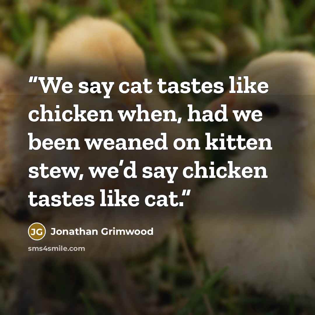 “We say cat tastes like chicken when, had we been weaned on kitten stew, we’d say chicken tastes like cat.” quote by Jonathan Grimwood