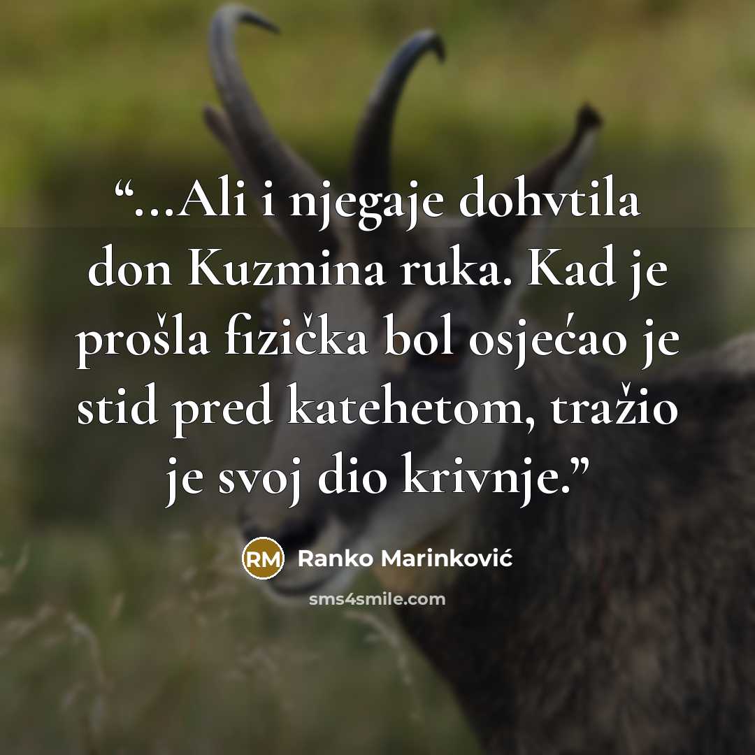 “...Ali i njegaje dohvtila don Kuzmina ruka. Kad je prošla fizička bol osjećao je stid pred katehetom, tražio je svoj dio krivnje.” quote by Ranko Marinković