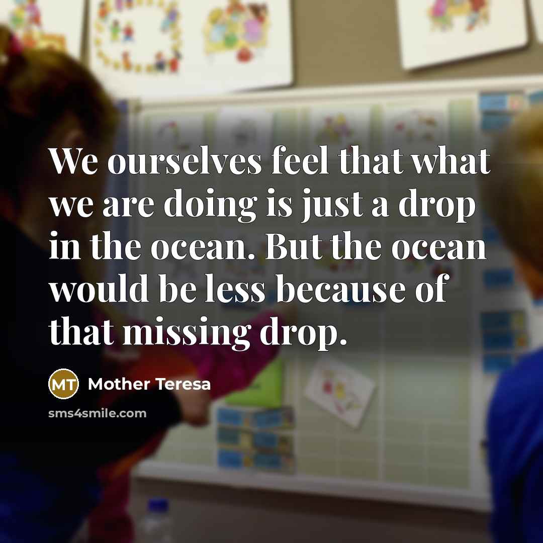 “We ourselves feel that what we are doing is just a drop in the ocean. But the ocean would be less because of that missing drop.” quote by Mother Teresa