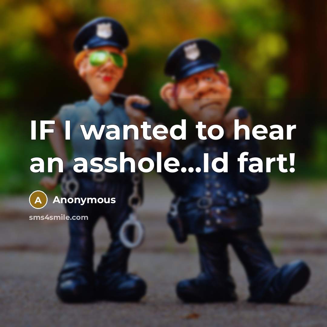 “IF I wanted to hear an asshole...Id fart!” quote by Anonymous