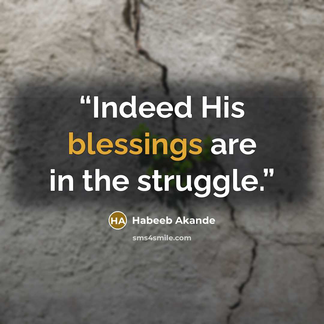 “Indeed His blessings are in the struggle.” quote by Habeeb Akande