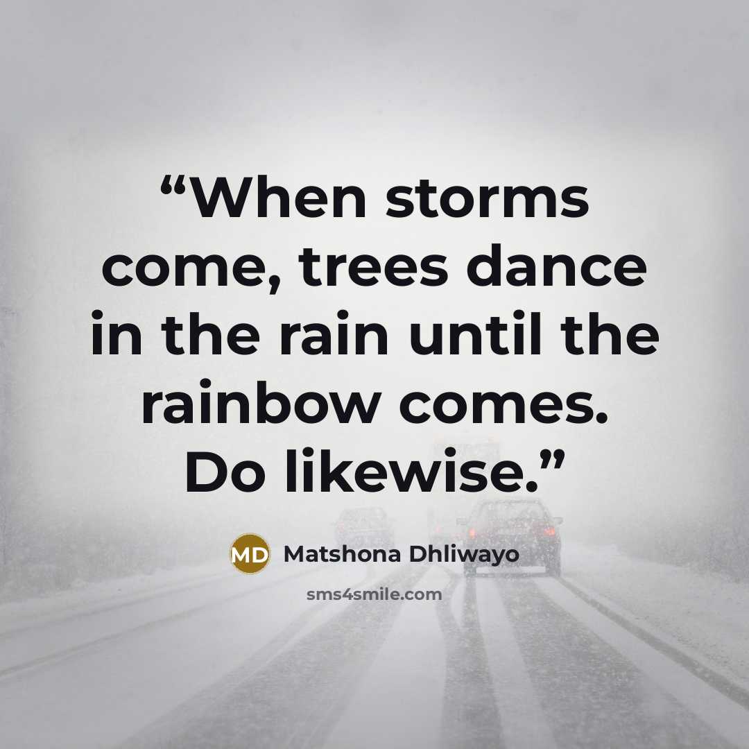 “When storms come, trees dance in the rain until the rainbow comes. Do likewise.” quote by Matshona Dhliwayo