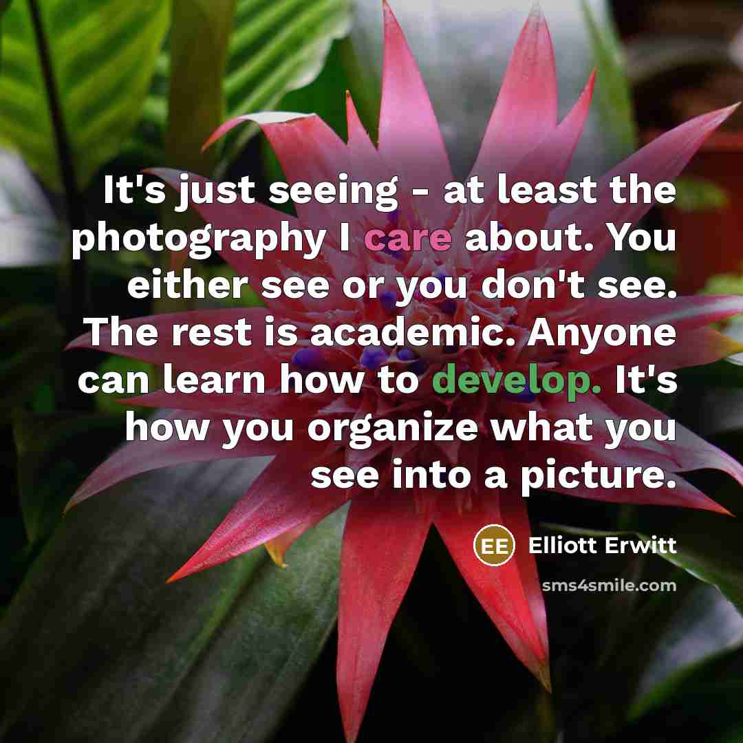 “It's just seeing - at least the photography I care about. You either see or you don't see. The rest is academic. Anyone can learn how to develop. It's how you organize what you see into a picture.” quote by Elliott Erwitt
