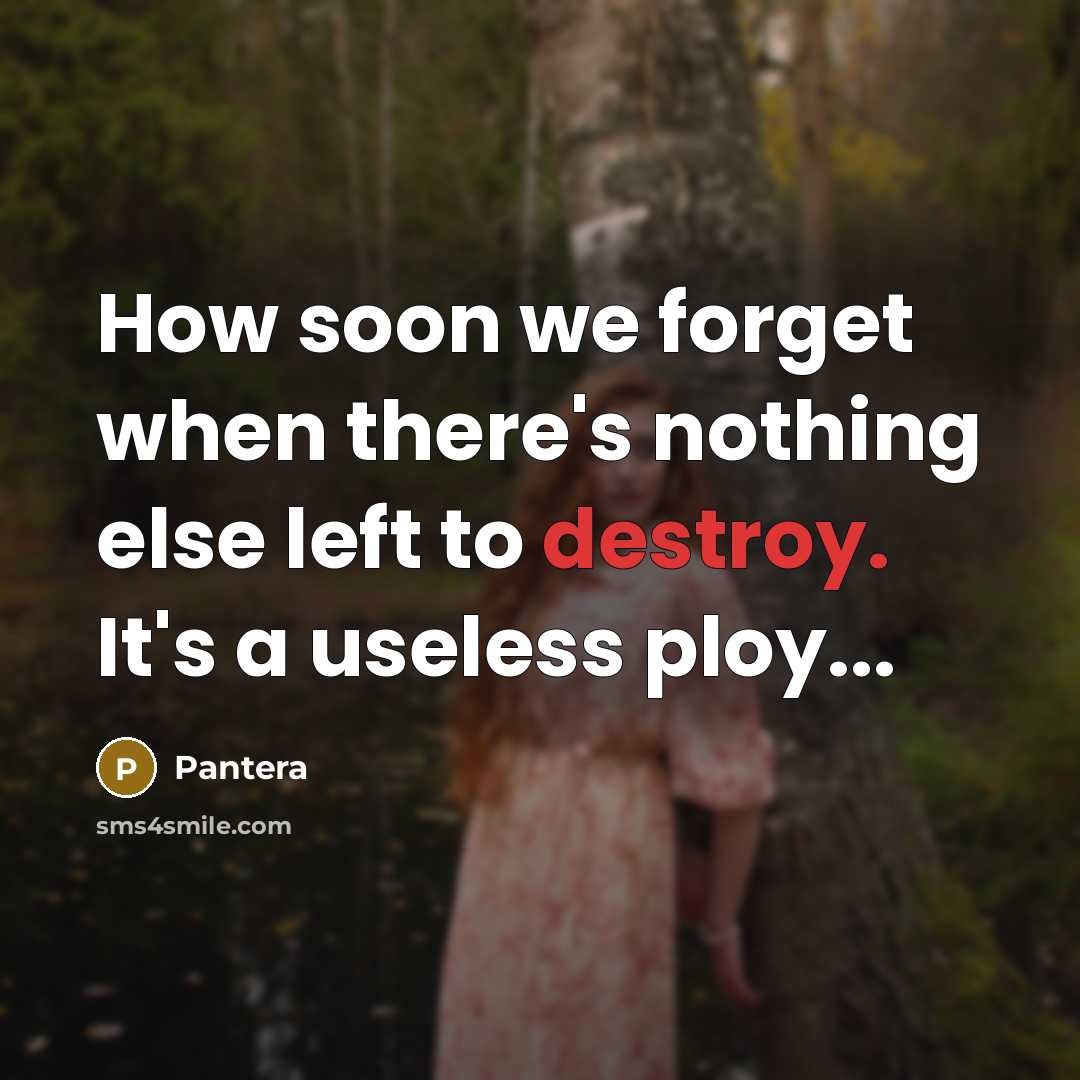 “How soon we forget when there's nothing else left to destroy. It's a useless ploy...” quote by Pantera