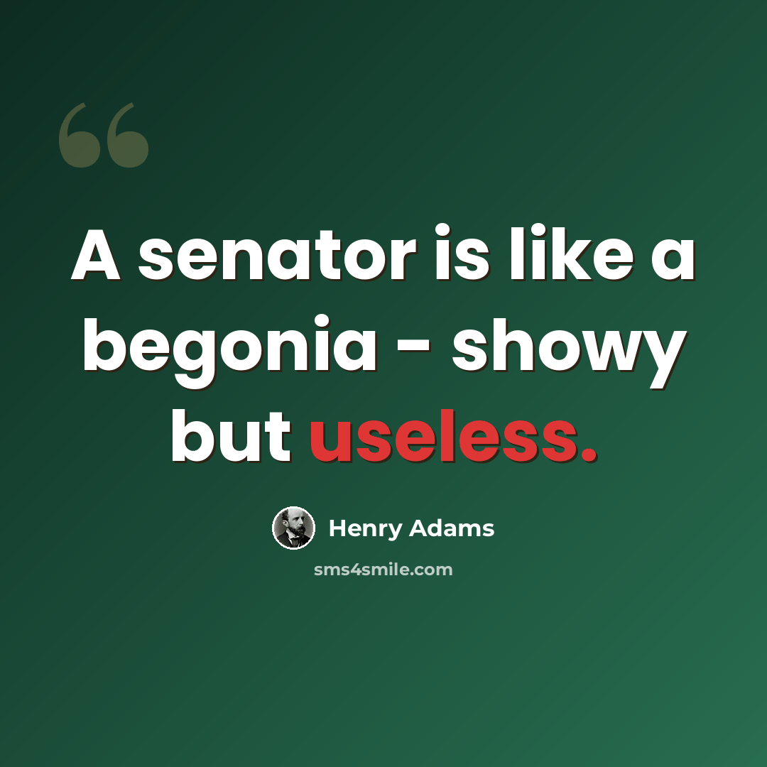 “A senator is like a begonia - showy but useless.” quote by Henry Adams