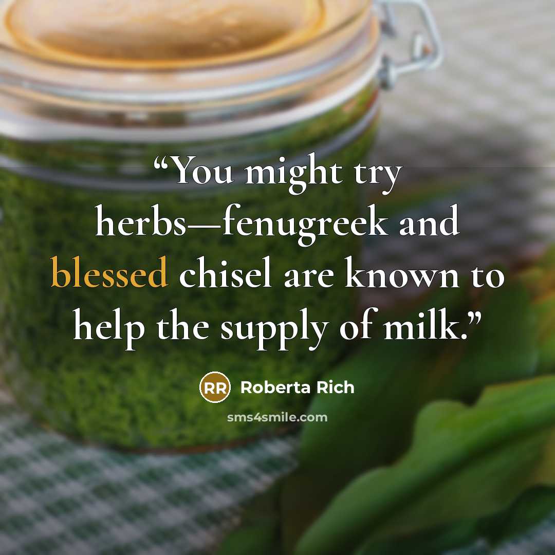 “You might try herbs—fenugreek and blessed chisel are known to help the supply of milk.” quote by Roberta Rich