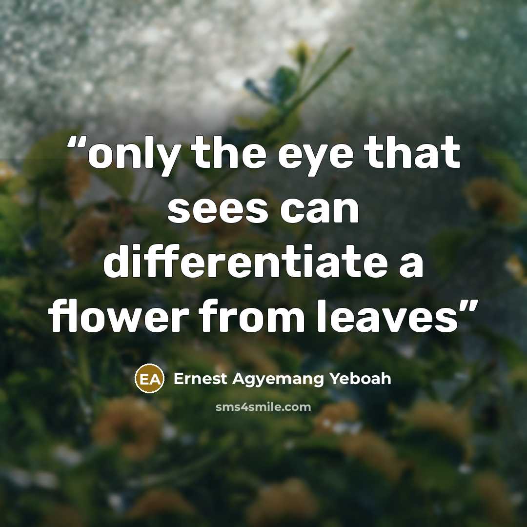 “only the eye that sees can differentiate a flower from leaves” quote by Ernest Agyemang Yeboah