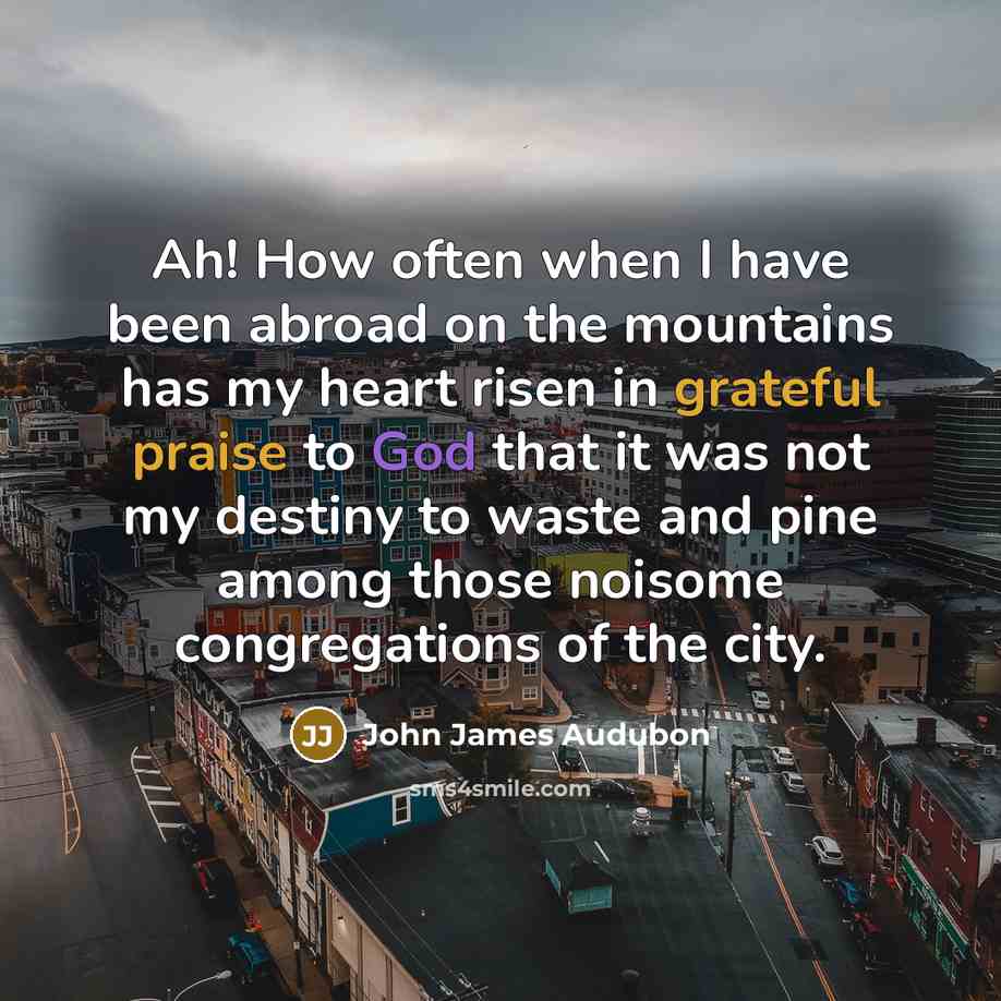 “Ah! How often when I have been abroad on the mountains has my heart risen in grateful praise to God that it was not my destiny to waste and pine among those noisome congregations of the city.” quote by John James Audubon
