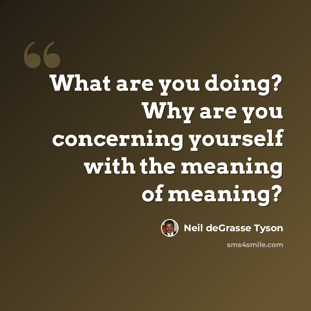 “What are you doing? Why are you concerning yourself with the meaning of meaning?” quote by Neil deGrasse Tyson