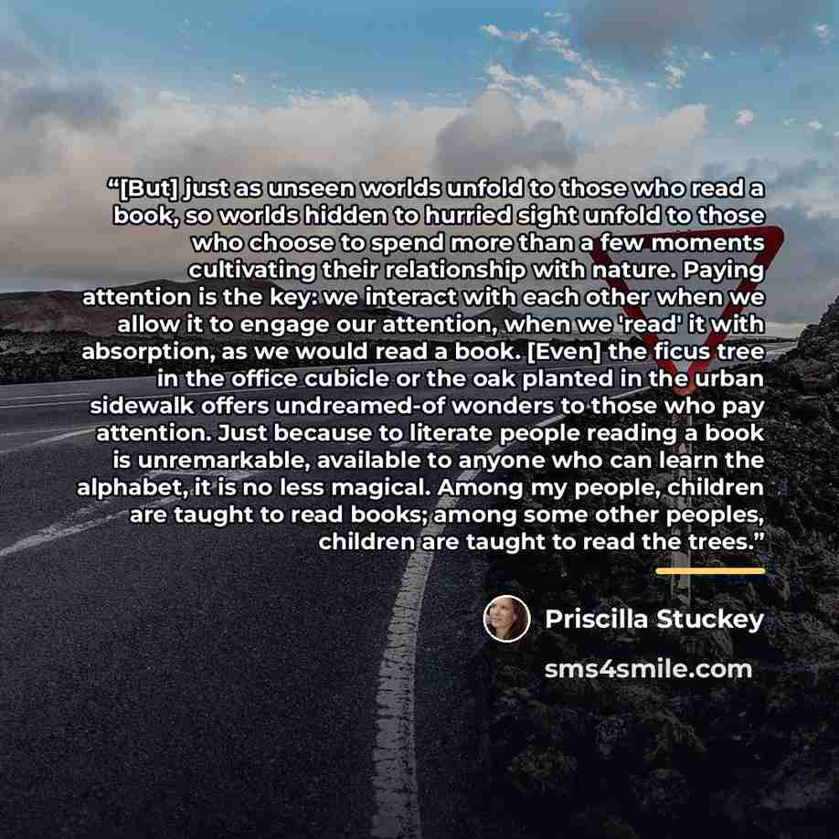 “[But] just as unseen worlds unfold to those who read a book, so worlds hidden to hurried sight unfold to those who choose to spend more than a few moments cultivating their relationship with nature. Paying attention is the key: we interact with each other when we allow it to engage our attention…” quote by Priscilla Stuckey