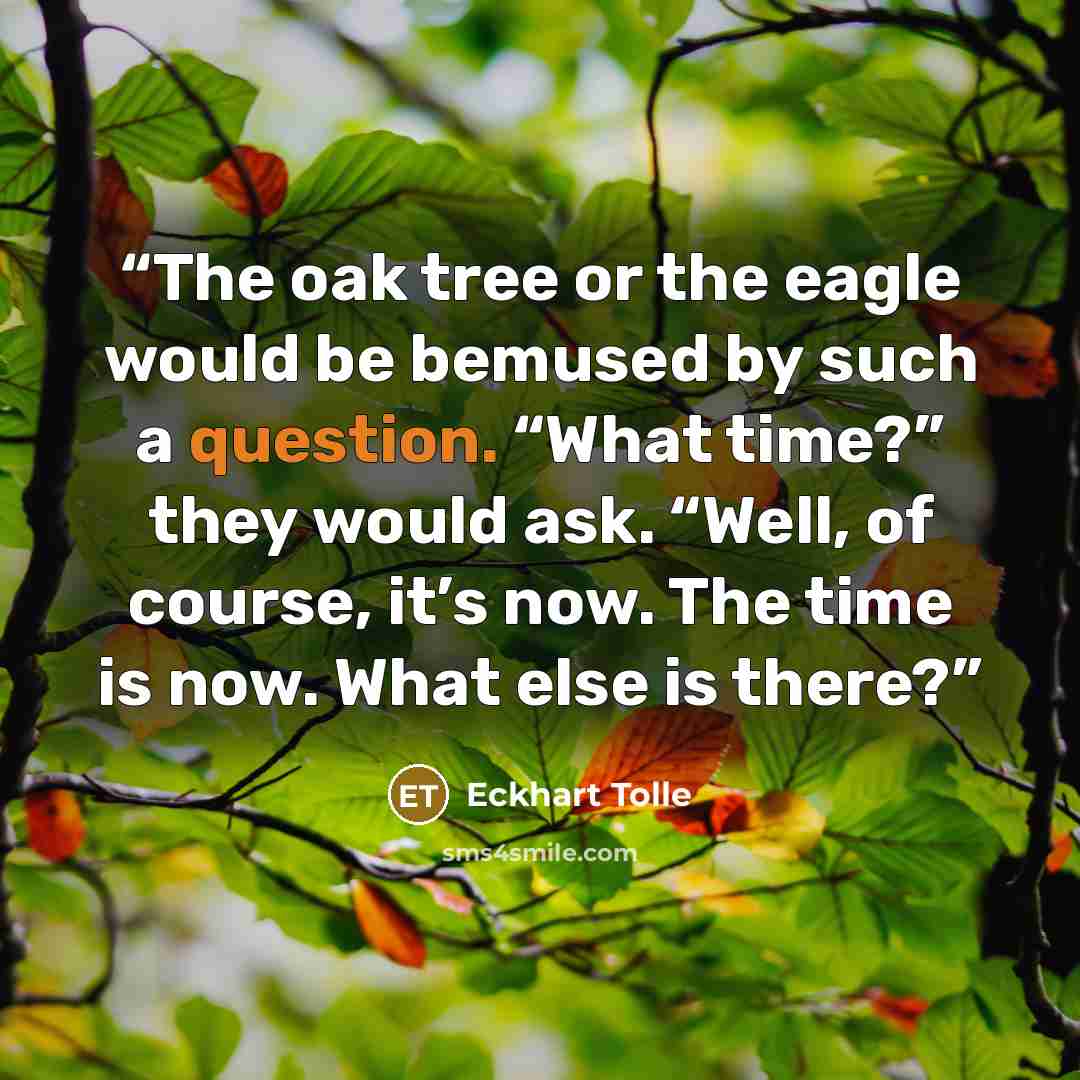 “The oak tree or the eagle would be bemused by such a question. “What time?” they would ask. “Well, of course, it’s now. The time is now. What else is there?” quote by Eckhart Tolle