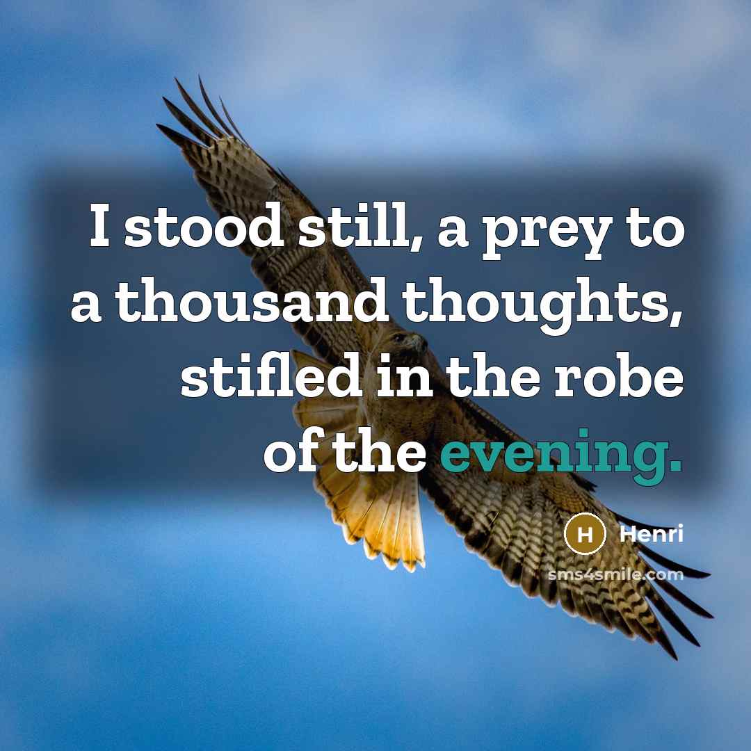 “I stood still, a prey to a thousand thoughts, stifled in the robe of the evening.” quote by Henri