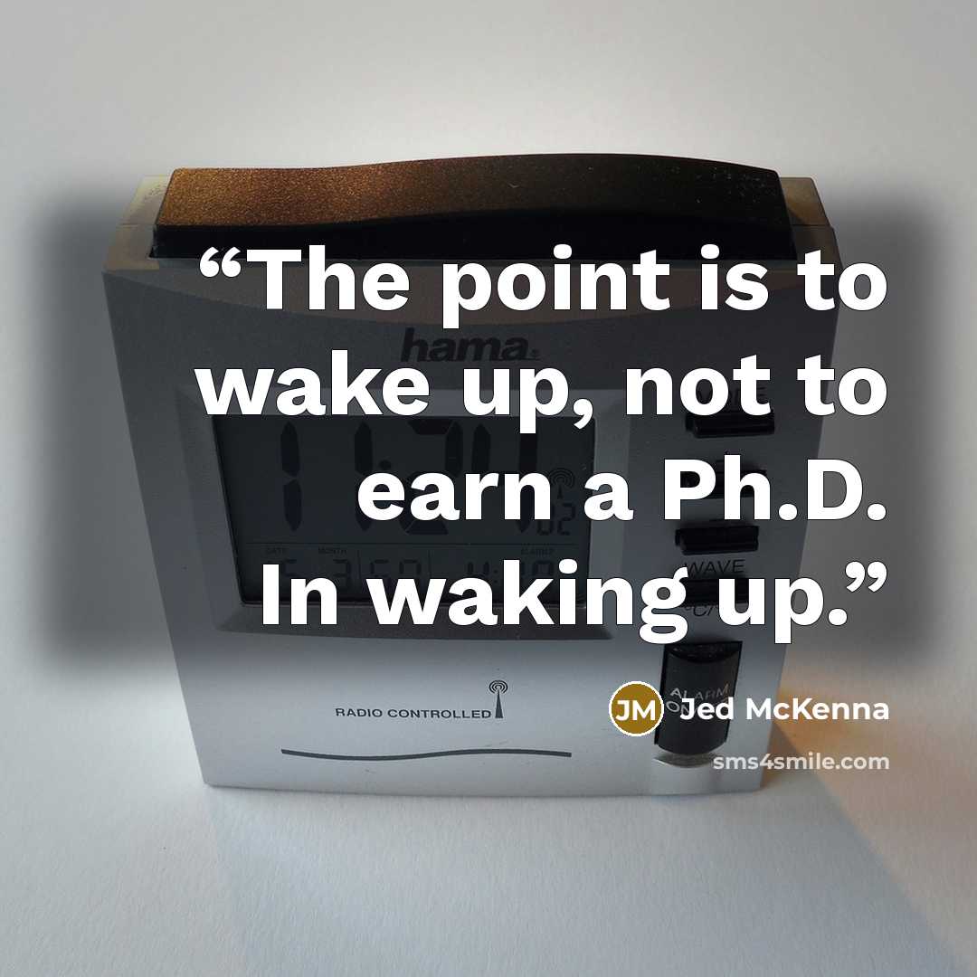 “The point is to wake up, not to earn a Ph.D. In waking up.” quote by Jed McKenna