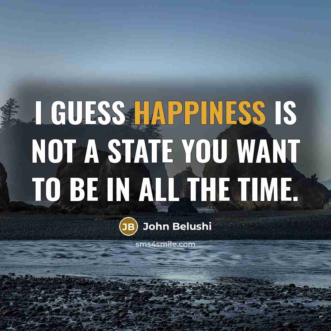 “I guess happiness is not a state you want to be in all the time.” quote by John Belushi
