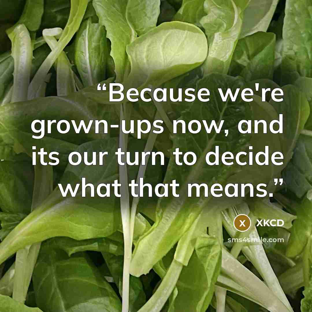 “Because we're grown-ups now, and its our turn to decide what that means.” quote by XKCD