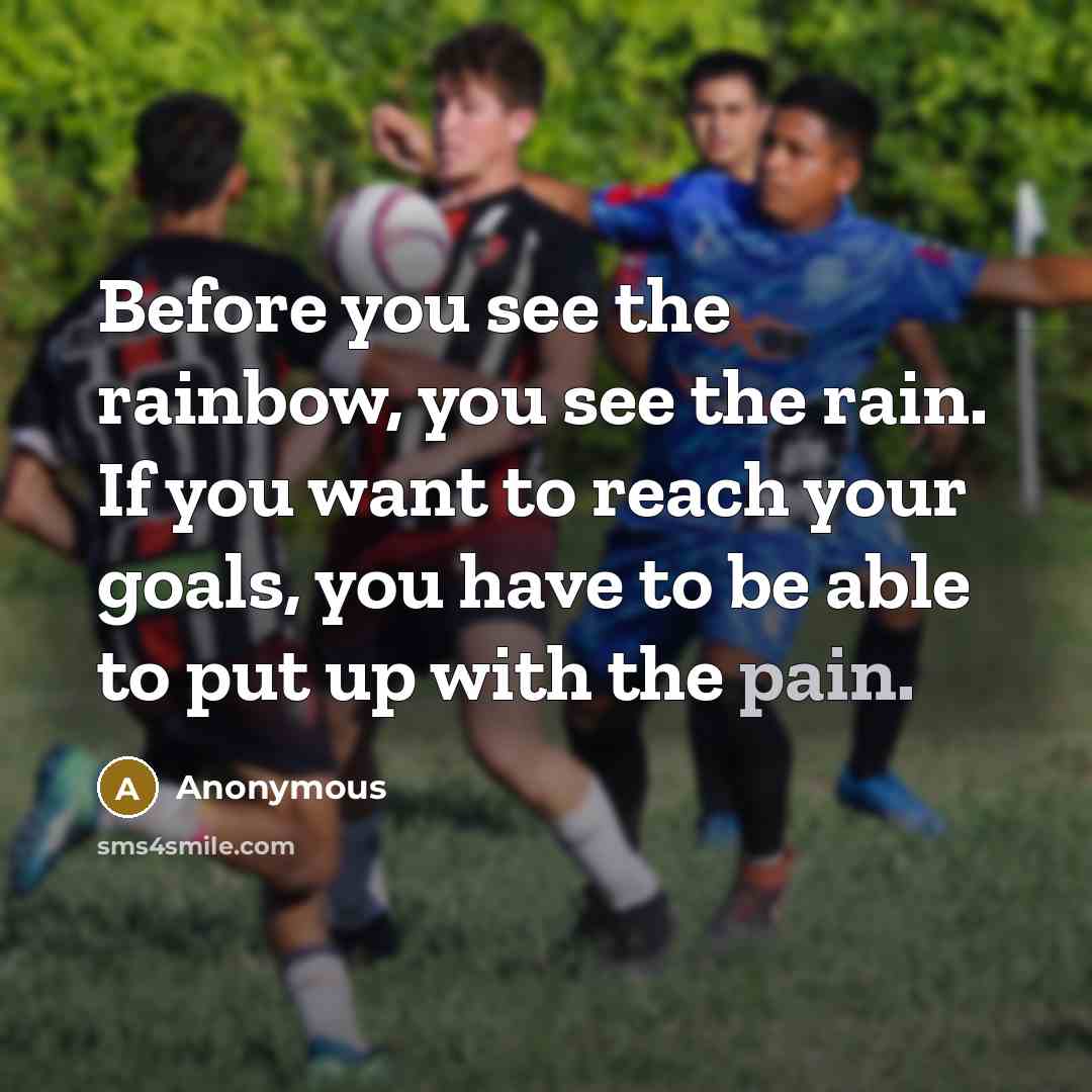 “Before you see the rainbow, you see the rain. If you want to reach your goals, you have to be able to put up with the pain.” quote by Anonymous