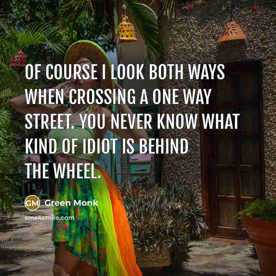 “Of course I look both ways when crossing a one way street. You never know what kind of idiot is behind the wheel.” quote by Green Monk