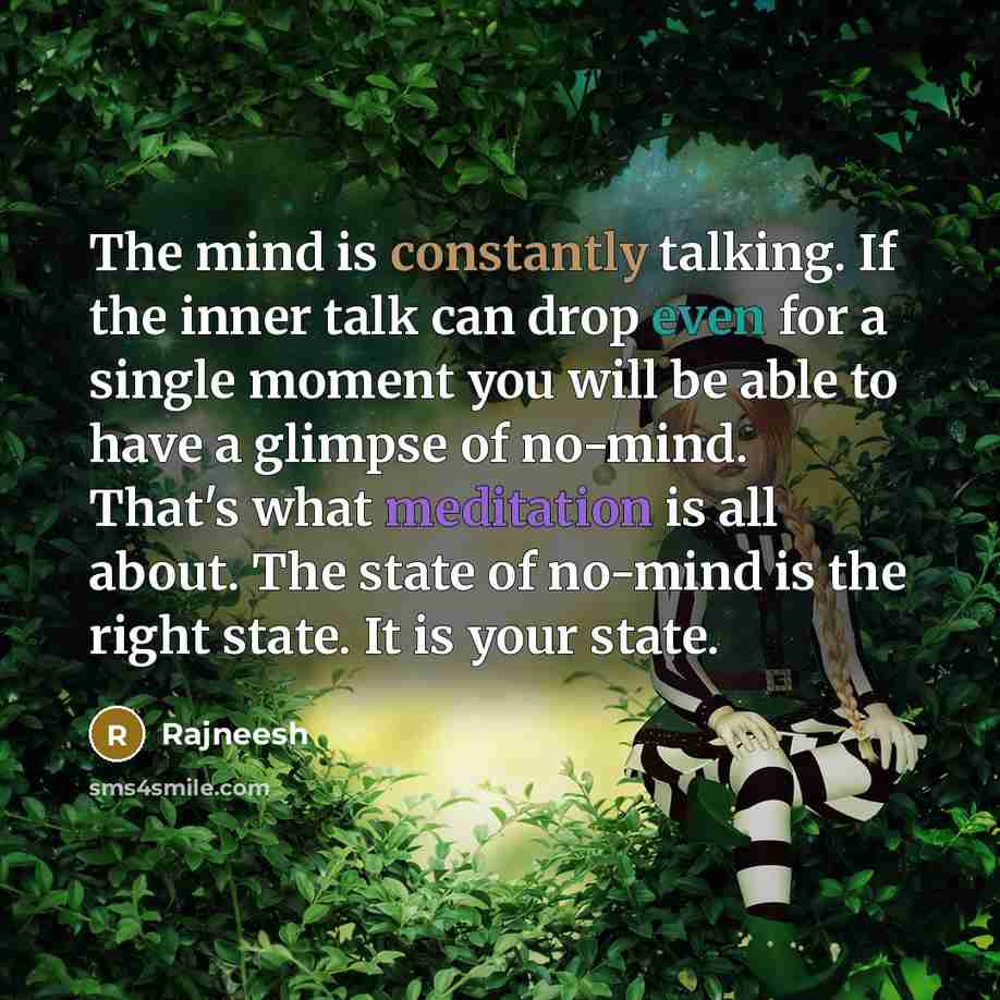 “The mind is constantly talking. If the inner talk can drop even for a single moment you will be able to have a glimpse of no-mind. That's what meditation is all about. The state of no-mind is the right state. It is your state.” quote by Rajneesh