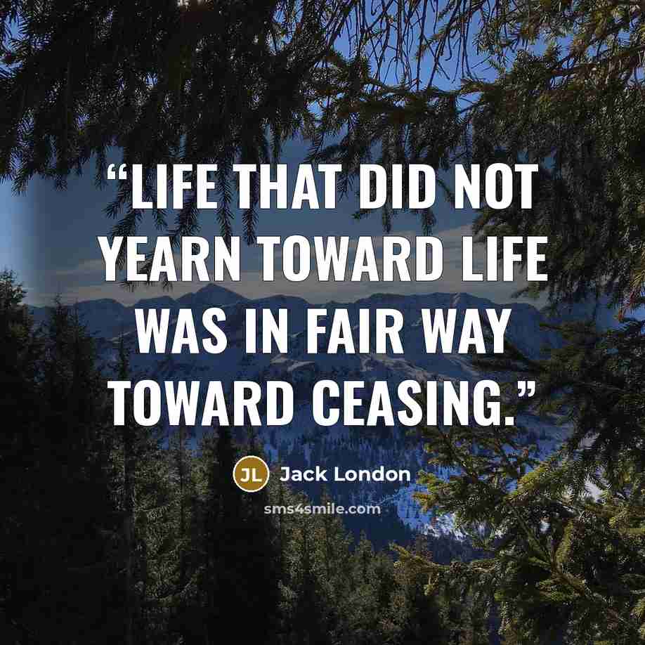 “Life that did not yearn toward life was in fair way toward ceasing.” quote by Jack London