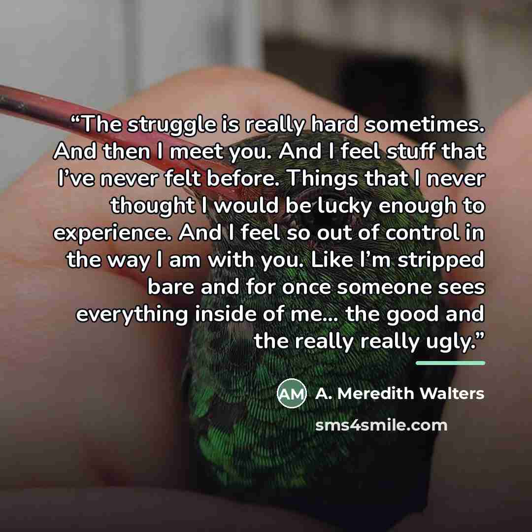 “The struggle is really hard sometimes. And then I meet you. And I feel stuff that I’ve never felt before. Things that I never thought I would be lucky enough to experience. And I feel so out of control in the way I am with you. Like I’m stripped bare and for once someone sees everything inside of…” quote by A. Meredith Walters