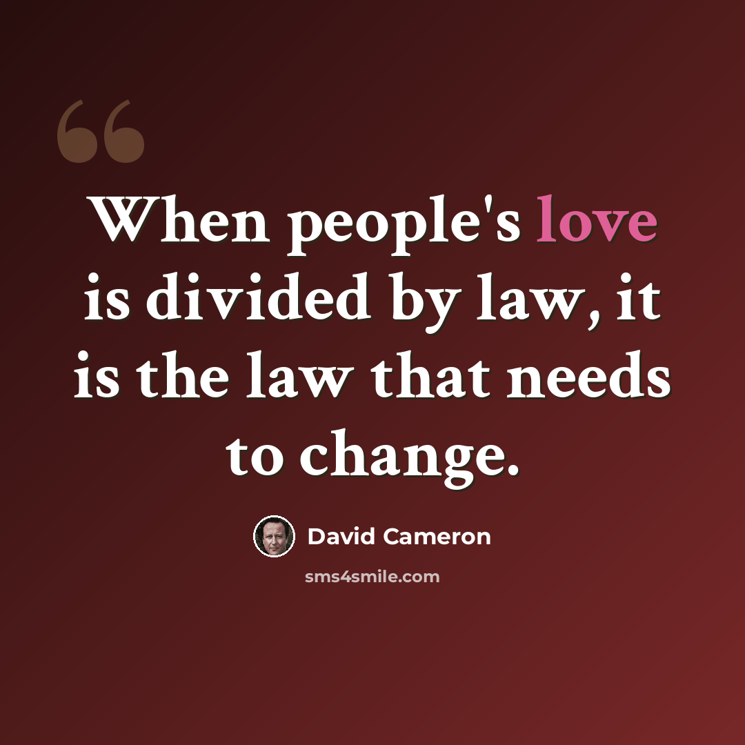 “When people's love is divided by law, it is the law that needs to change.” quote by David Cameron