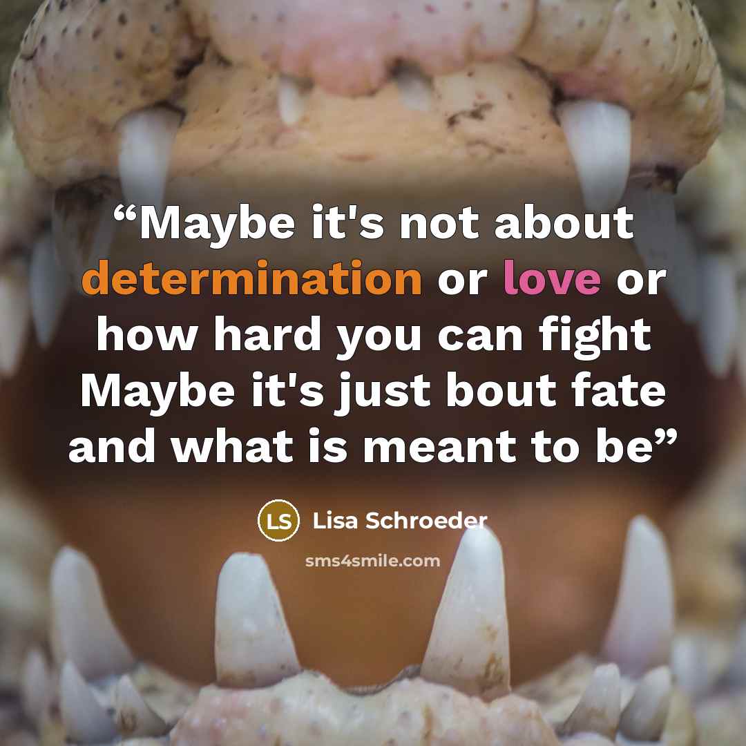 “Maybe it's not about determination or love or how hard you can fight Maybe it's just bout fate and what is meant to be” quote by Lisa Schroeder