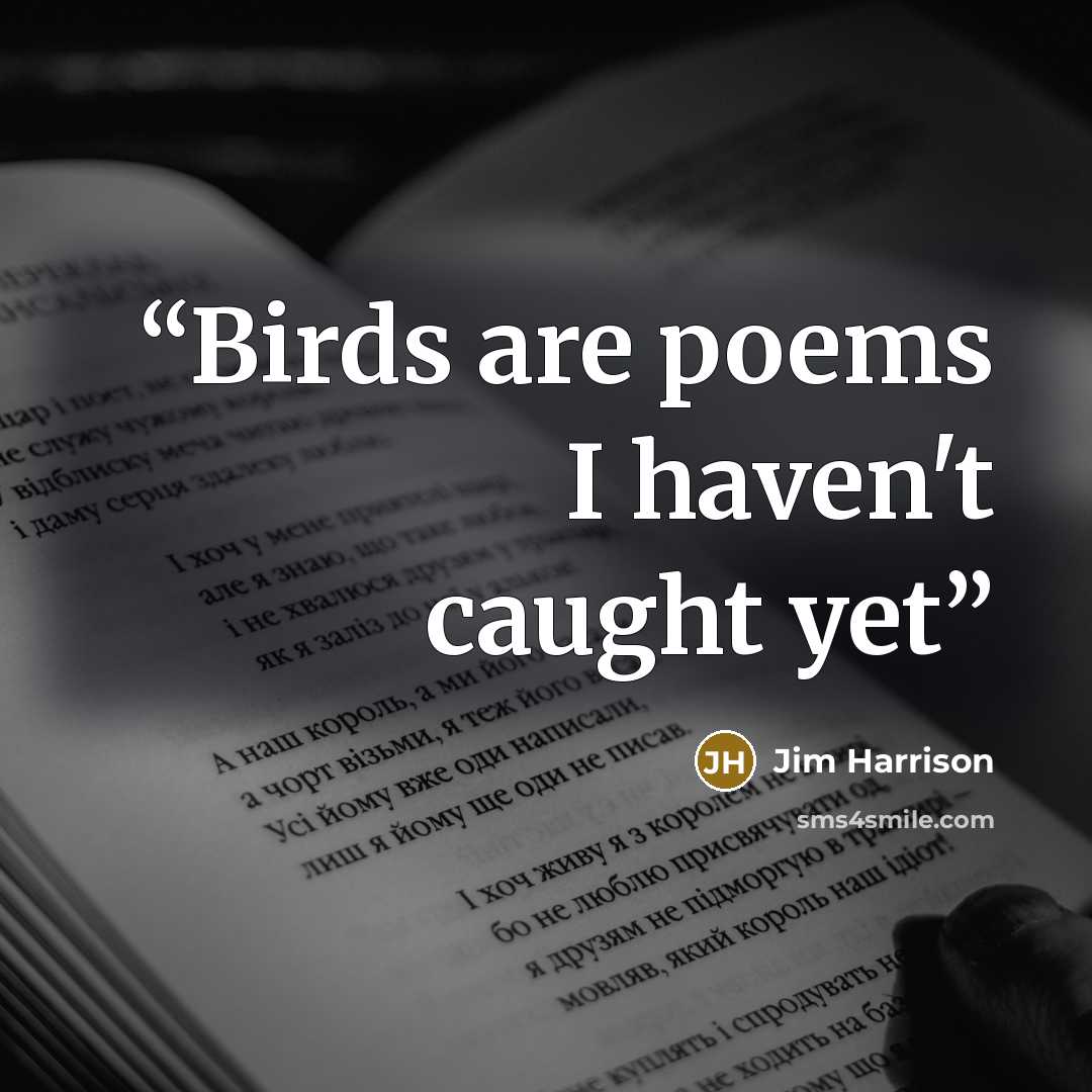 “Birds are poems I haven't caught yet” quote by Jim Harrison