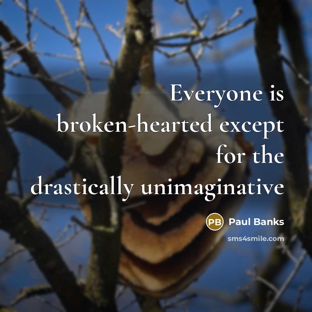 “Everyone is broken-hearted except for the drastically unimaginative” quote by Paul Banks