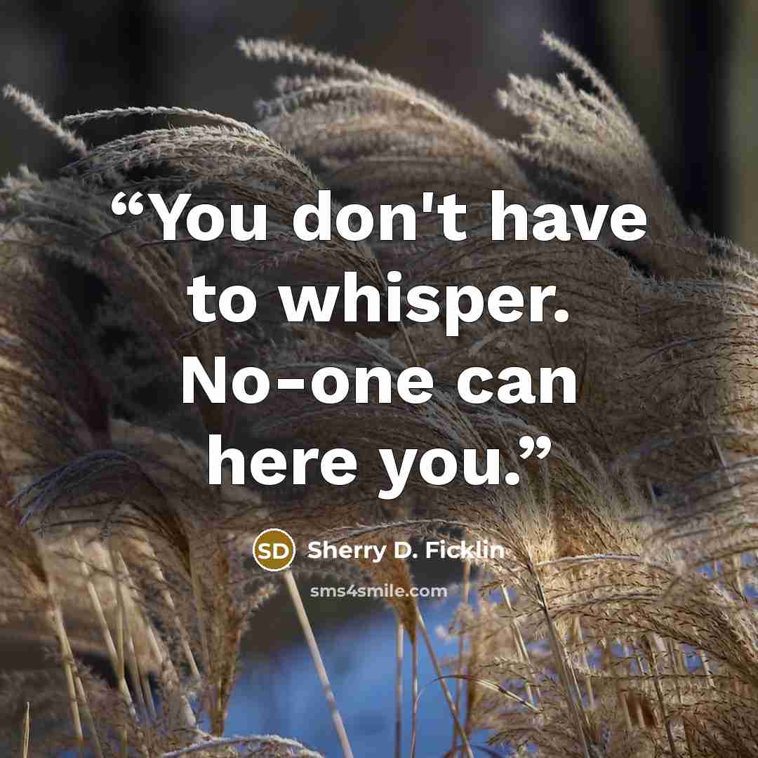 “You don't have to whisper. No-one can here you.” quote by Sherry D. Ficklin