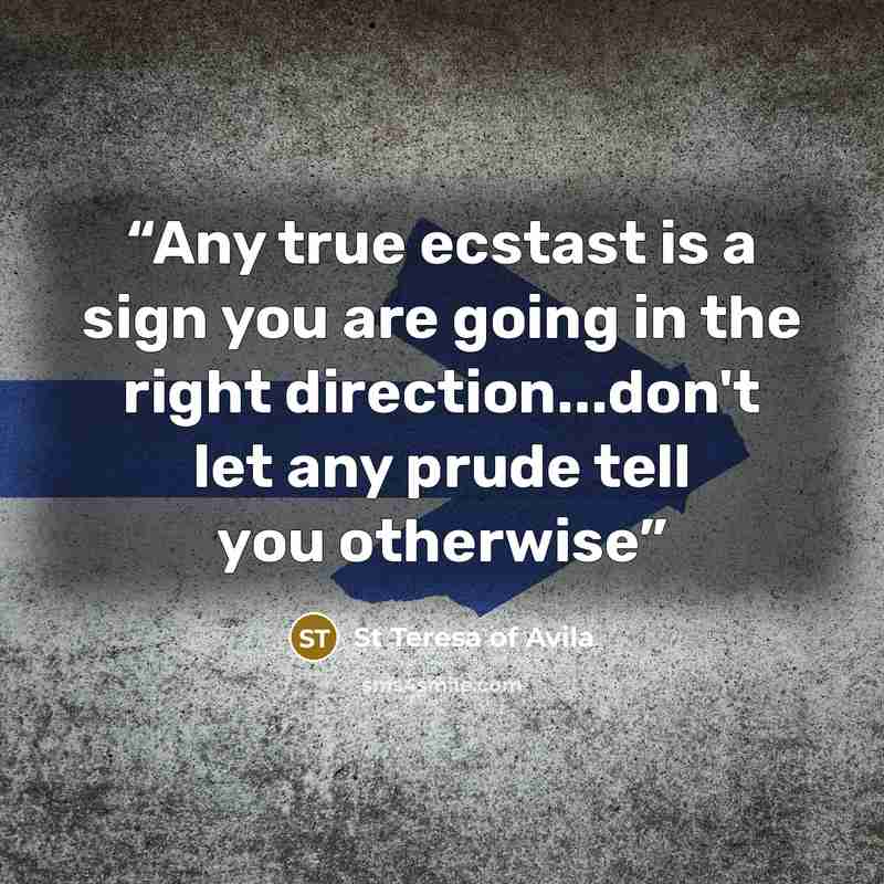 “Any true ecstast is a sign you are going in the right direction...don't let any prude tell you otherwise” quote by St Teresa of Avila