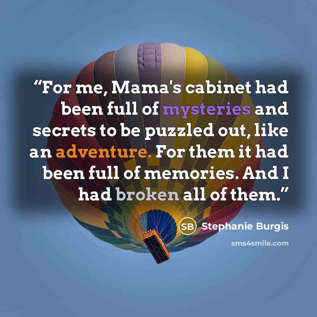 “For me, Mama's cabinet had been full of mysteries and secrets to be puzzled out, like an adventure. For them it had been full of memories. And I had broken all of them.” quote by Stephanie Burgis