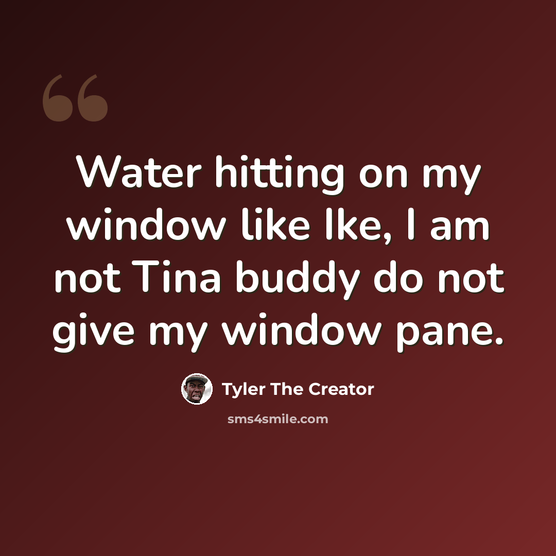 “Water hitting on my window like Ike, I am not Tina buddy do not give my window pane.” quote by Tyler The Creator