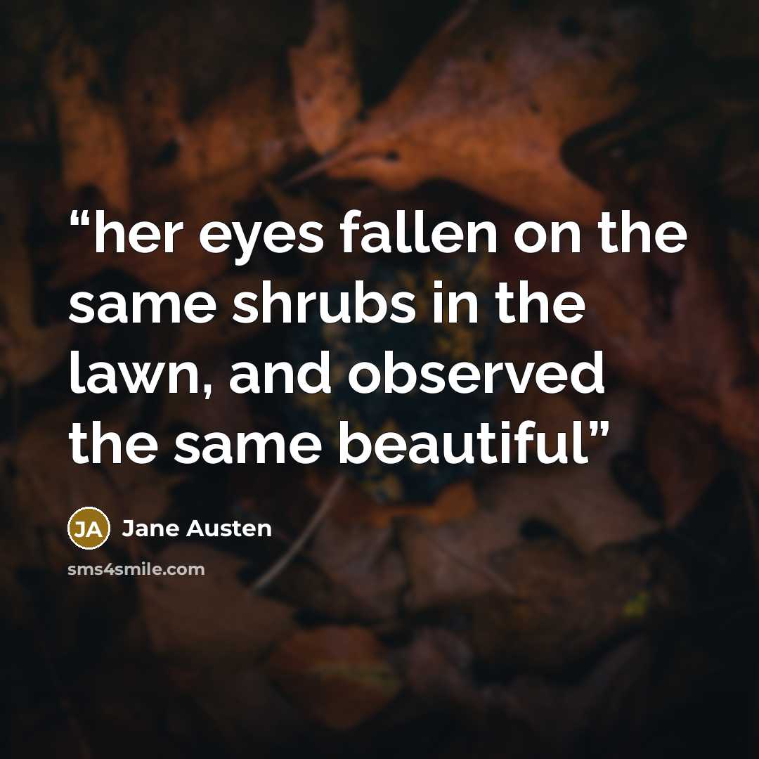 “her eyes fallen on the same shrubs in the lawn, and observed the same beautiful” quote by Jane Austen