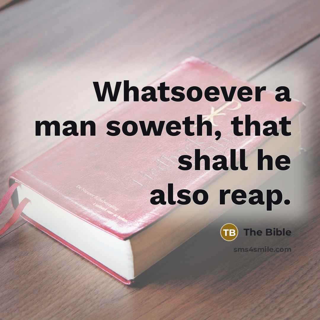 “Whatsoever a man soweth, that shall he also reap.” quote by The Bible