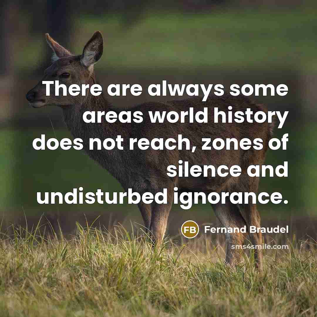 “There are always some areas world history does not reach, zones of silence and undisturbed ignorance.” quote by Fernand Braudel