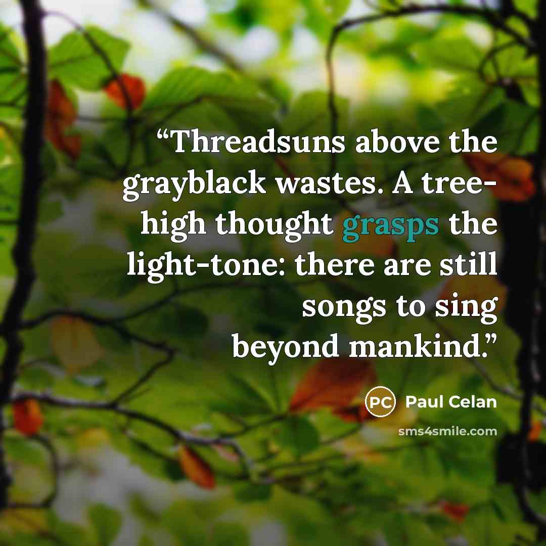 “Threadsuns above the grayblack wastes. A tree- high thought grasps the light-tone: there are still songs to sing beyond mankind.” quote by Paul Celan