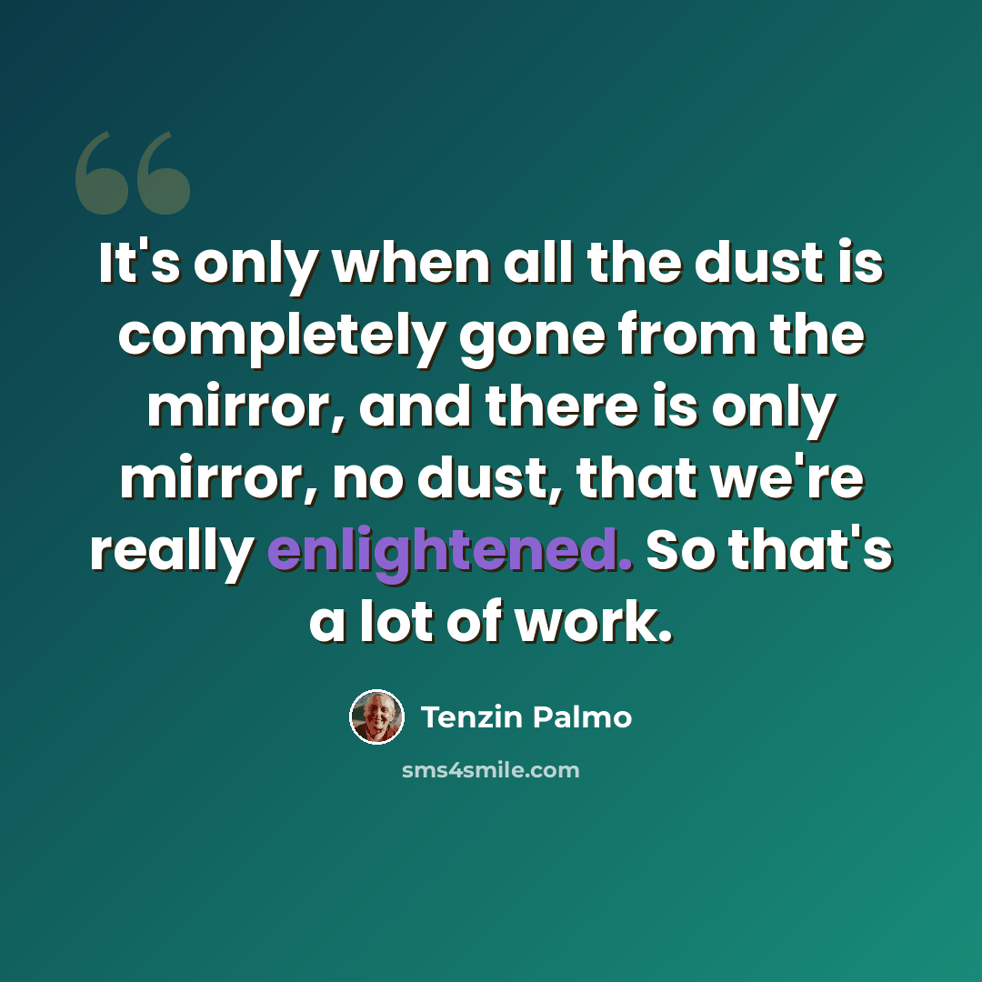 “It's only when all the dust is completely gone from the mirror, and there is only mirror, no dust, that we're really enlightened. So that's a lot of work.” quote by Tenzin Palmo