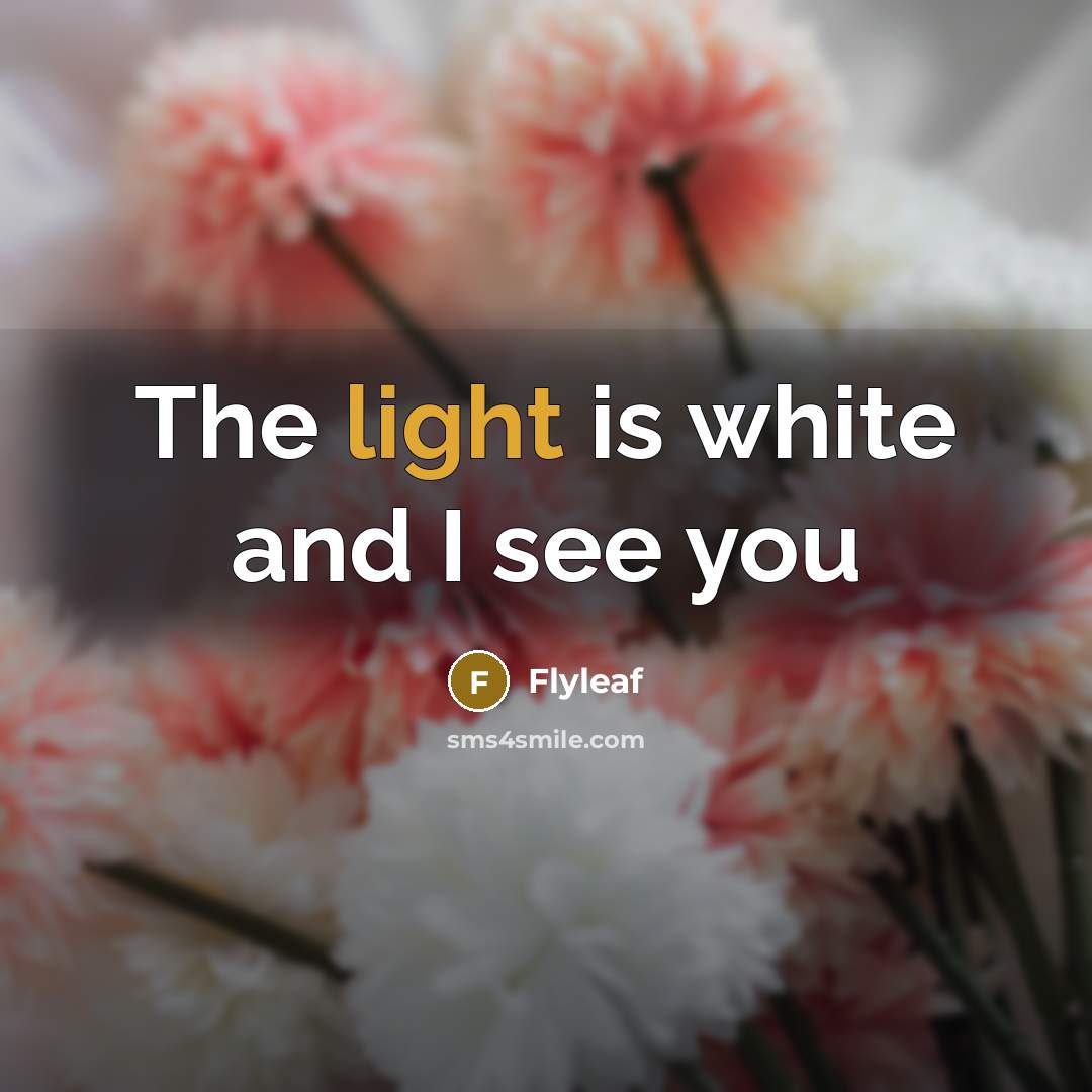 “The light is white and I see you” quote by Flyleaf
