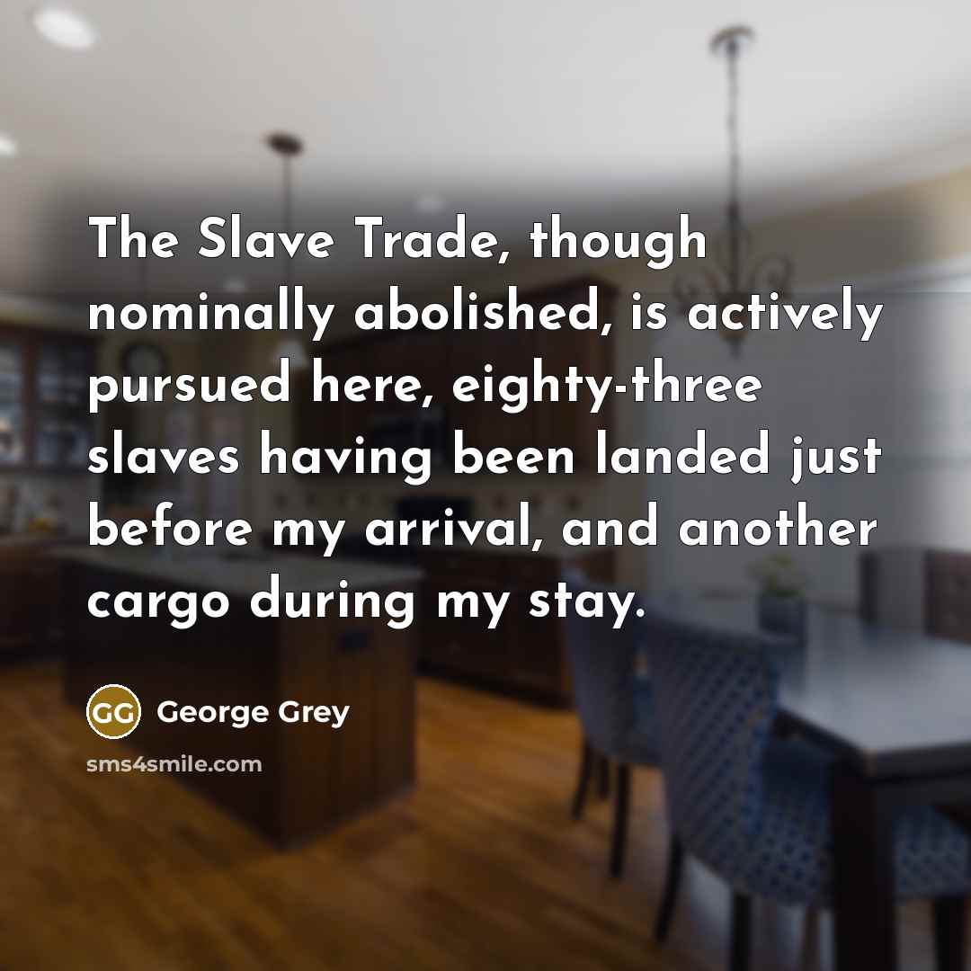 “The Slave Trade, though nominally abolished, is actively pursued here, eighty-three slaves having been landed just before my arrival, and another cargo during my stay.” quote by George Grey