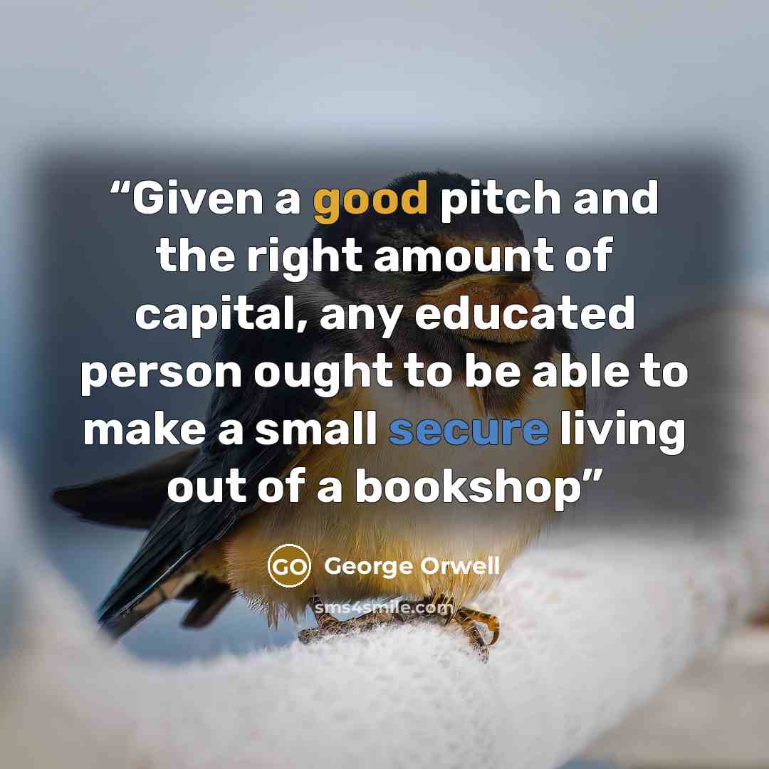 “Given a good pitch and the right amount of capital, any educated person ought to be able to make a small secure living out of a bookshop” quote by George Orwell