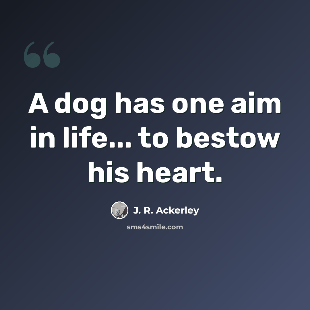 “A dog has one aim in life... to bestow his heart.” quote by J. R. Ackerley