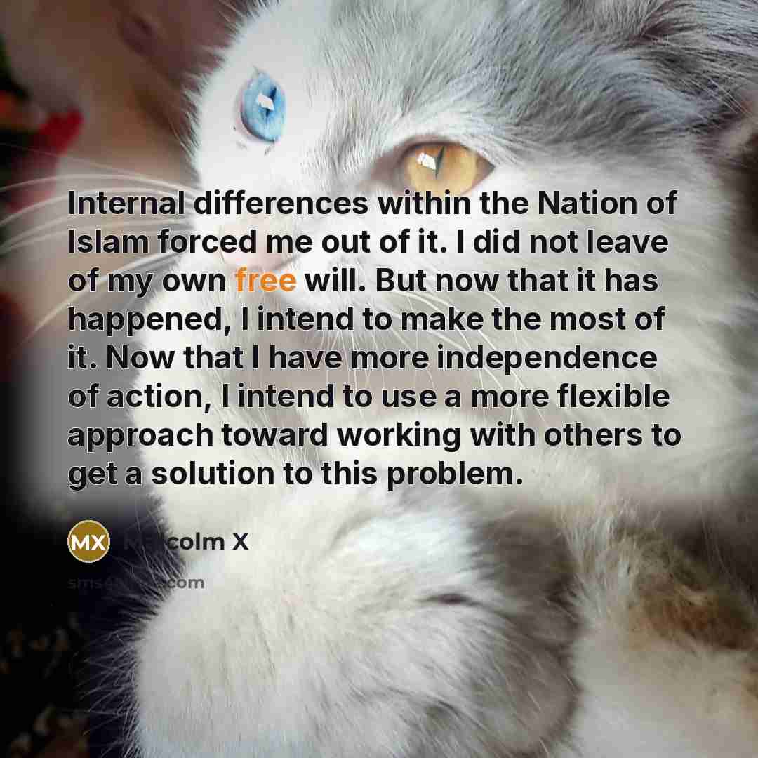 “Internal differences within the Nation of Islam forced me out of it. I did not leave of my own free will. But now that it has happened, I intend to make the most of it. Now that I have more independence of action, I intend to use a more flexible approach toward working with others to get a…” quote by Malcolm X