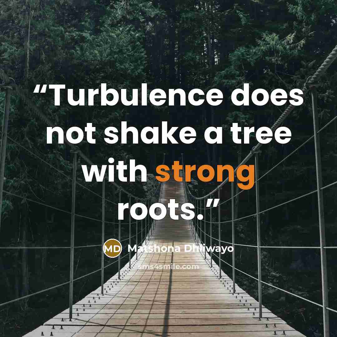 “Turbulence does not shake a tree with strong roots.” quote by Matshona Dhliwayo