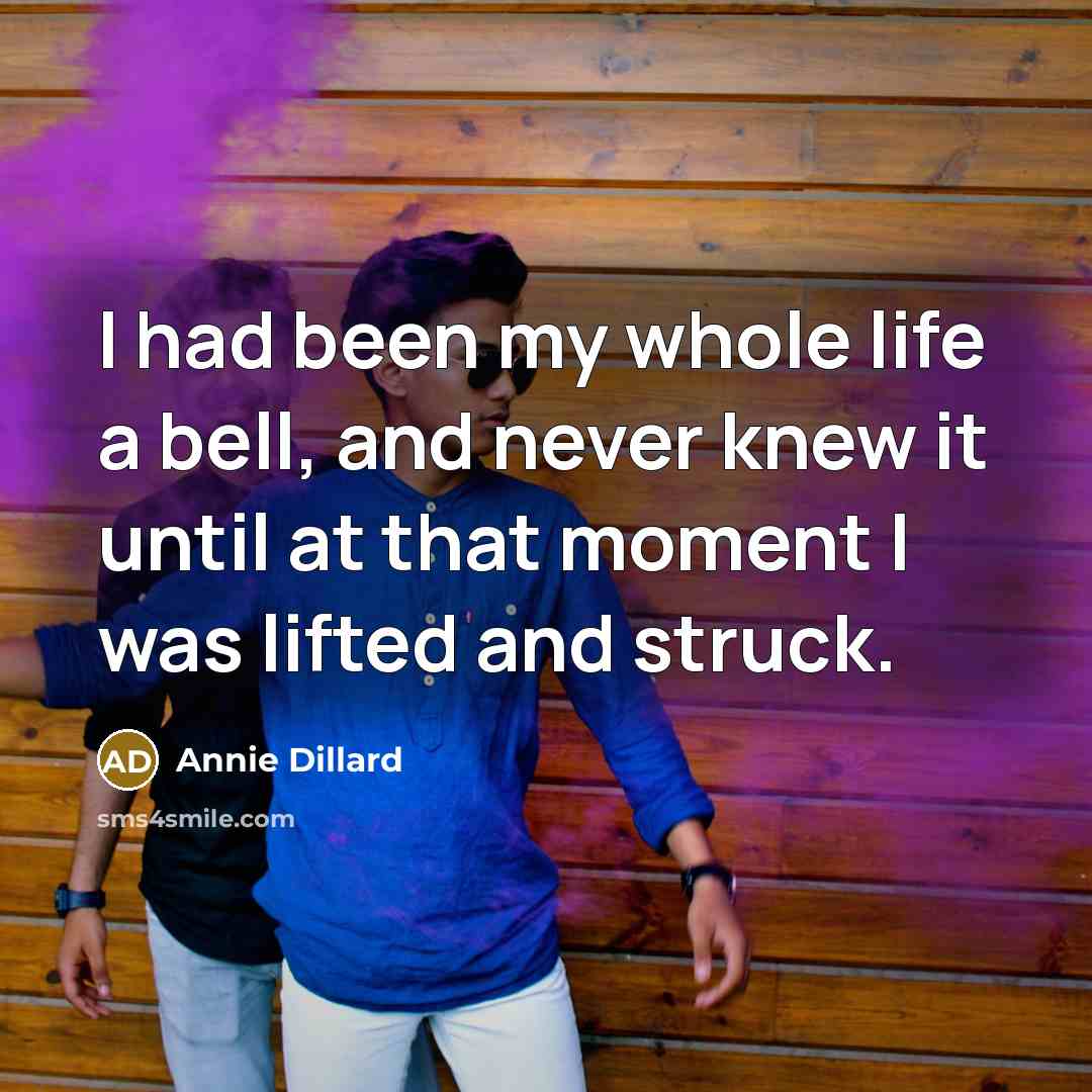 “I had been my whole life a bell, and never knew it until at that moment I was lifted and struck.” quote by Annie Dillard