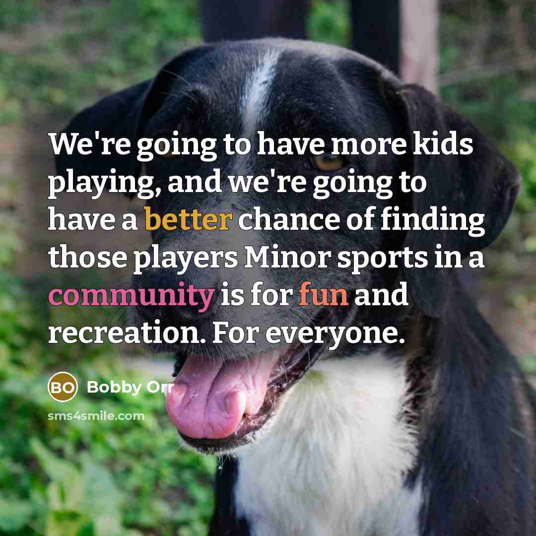 “We're going to have more kids playing, and we're going to have a better chance of finding those players Minor sports in a community is for fun and recreation. For everyone.” quote by Bobby Orr