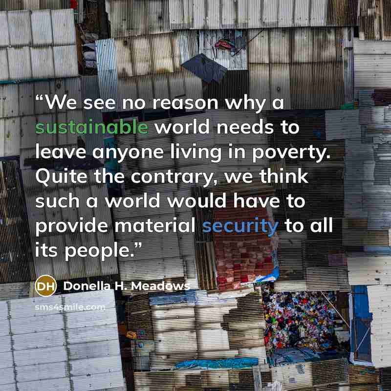 “We see no reason why a sustainable world needs to leave anyone living in poverty. Quite the contrary, we think such a world would have to provide material security to all its people.” quote by Donella H. Meadows