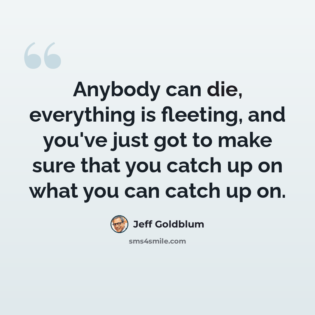 “Anybody can die, everything is fleeting, and you've just got to make sure that you catch up on what you can catch up on.” quote by Jeff Goldblum