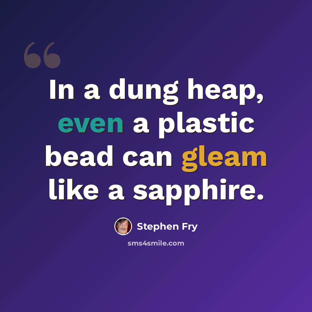 “In a dung heap, even a plastic bead can gleam like a sapphire.” quote by Stephen Fry