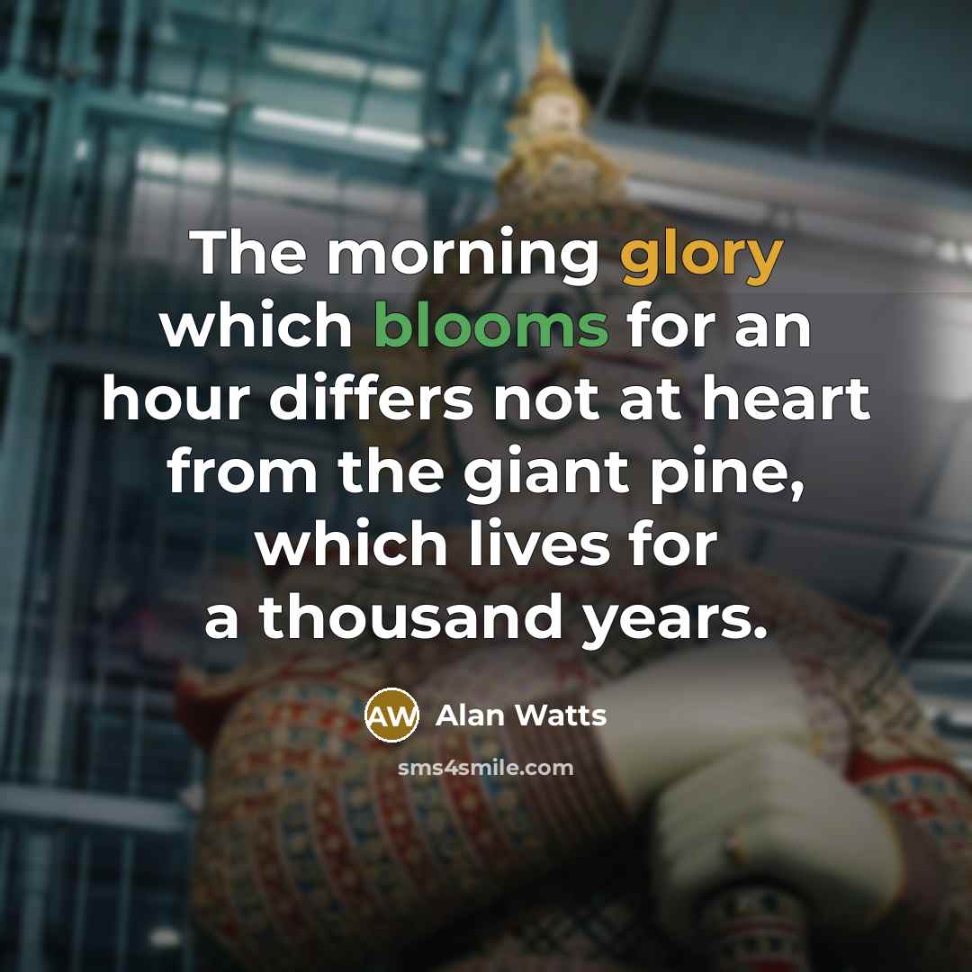 “The morning glory which blooms for an hour differs not at heart from the giant pine, which lives for a thousand years.” quote by Alan Watts